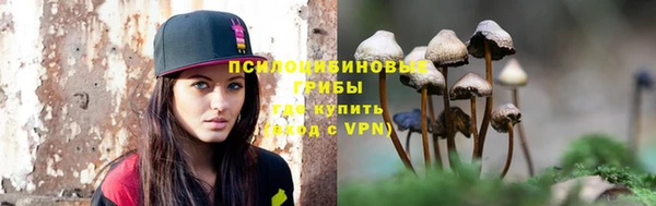 спиды Алзамай