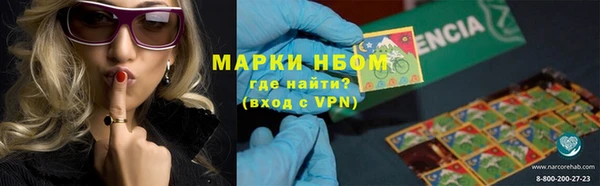 шишки Абаза