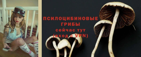 прущий лед Алексеевка