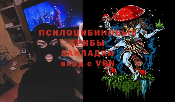 мяу мяу мука Медвежьегорск