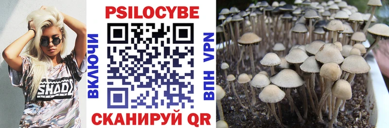 Псилоцибиновые грибы Cubensis  Юхнов 